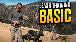 Leash Training Your Dog Part 1 Using a Long Line and Treats  Dog Training Video [upl. by Yspyg801]