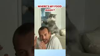 🐾 When Cats amp Dogs Team Up to Make You Laugh Unexpected Pet Antics 😂 FunnyPets DogsAndCats fyp [upl. by Aaron]