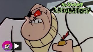 Dexters Laboratory  Photo Finish  Cartoon Network [upl. by Addie]