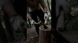 shorts bushcraft campfire campinglive camping survival short shortvideo [upl. by Sivehc576]