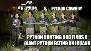 We Caught Pythons In The Florida Everglades with Python Cowboy [upl. by Gniy]