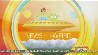 News Of The Weird [upl. by Verdi]