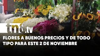 Flores para recordar a los difuntos a excelentes precios en los mercados [upl. by Airdna]