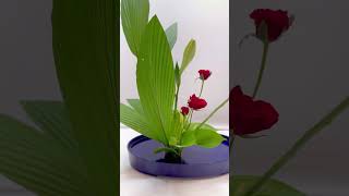 【插花】日本池坊華道盛花直態第三型鐵炮百合、玫瑰、龍舟葉 ikebana ikenobo flowers florist いけのぼ いけばな 池坊 插花 花藝 [upl. by Ahsiuqel]