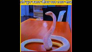 ৫টি ভূল করলে জীবন চলে যেতে পারেfacts monitaization islamicvideo monitazation [upl. by Ahsac]