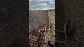 Allis Chalmers D17 Diesel plowing [upl. by Mannuela]