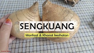 Sengkuang Manfaat amp Khasiat Kesihatan  Pachyrhizus erosus  Natural Vitamin C [upl. by Salesin]