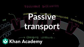 Membrane TransportFacilitated DiffusionActive TransportCarrier and Channel ProteinCell Biology [upl. by Llecram136]