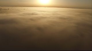 DRONE  CÔTE DIVOIRE  Forêt du Cavally sous le brouillard [upl. by Nnylkcaj]