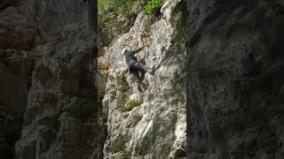 Arrampicata settore Harry Potter youtube arrampicata shortvideo climbing short [upl. by Joao435]