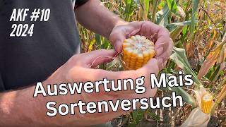 AKF 10 Auswertung Mais Sortenversuch [upl. by Edaj]