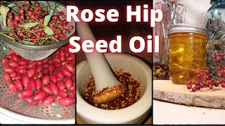 How to Make Rose Hip Seed Oil  DIY RoseHip Oil  Foraging Rose Hips  Rose Hip Recipe  Rose Hips [upl. by Vala614]