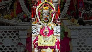 श्री स्वामी समर्थ महाकाल🙏🌺swamiसमर्थakkalkotswamisamarthmaharajkijay motivation shortviral [upl. by Shaeffer754]