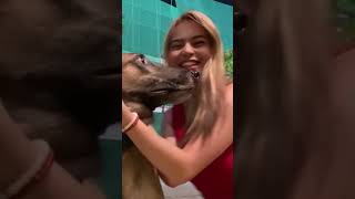 Evil Dog Attacks Girl In Face 🤯💀 attack girl dog [upl. by Yhtnomit]