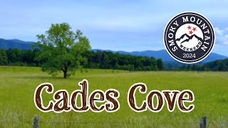 Cades Cove Loop Road [upl. by Brindle399]