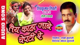 TEY KAHAN JABE CHEPTI RE  तैय कहा जाबे चेपटी रे  CG Song  Shivkumar Tiwari  Audio Song [upl. by Sesilu]