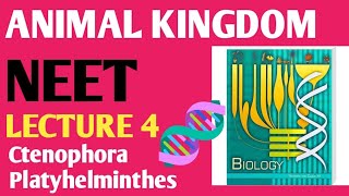 ANIMAL kingdom Lecture 4 Ctenophora and platyhelminthes NCERT 11 [upl. by Hach232]