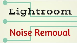 Remove Noise in Photos in Lightroom  identify and fix color and luminance noise [upl. by Cristie]