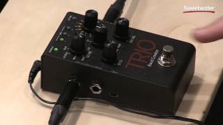 DigiTech Trio Band Creator Pedal Demo [upl. by Nayarb]