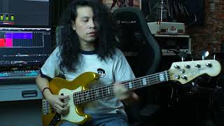 Ylona Garcia  Entertain Me Bass Cover [upl. by Garin543]