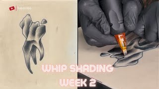 Back To Basics  Shading Tutorial  Week 2  Whip Shading [upl. by Anyale]