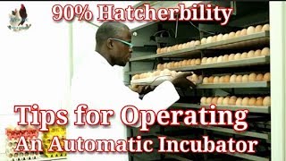 How to set amp operate an Automatic egg incubator  How to set up a hatchery [upl. by Burtie]