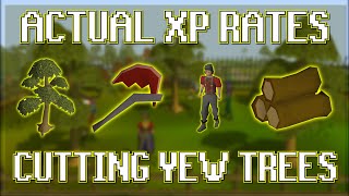 Actual XP Rates For Cutting Yew Trees in OSRS [upl. by Ardeen758]