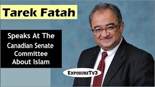 Tarek Fatah Speaks To The Canadian Senate Committee On Islam [upl. by Akena]