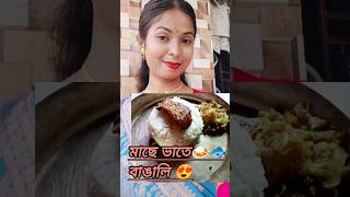 আজ খেলাম RICE FISH THALI🍛🐟youtubeshorts fish bengali viralvideo [upl. by Mazlack563]