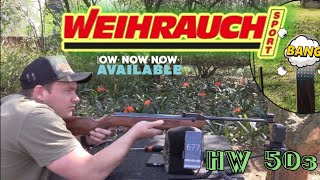 Weihrauch HW50S 45MM eating JSB knock out slugs in 177 [upl. by Terena]