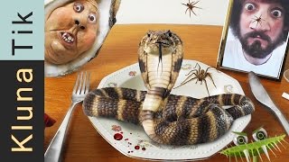 Kluna eating SNAKE SPIDER amp JELLYFISH 19 KLUNATIK COMPILATION ASMR eating sounds no talk [upl. by Purse]