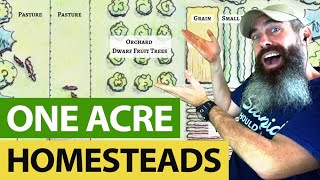 ONE ACRE Homesteads Can Give You ALMOST Everything [upl. by Adnorhs161]