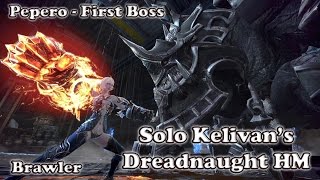 Tera  Solo Kelivans Dreadnaught HM  Pepero 1st Boss  Brawler Lomitall 271 [upl. by Hawken]