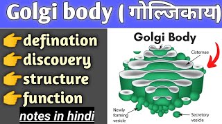 golgi body structure and function in hindi cell biology bsc biology [upl. by Eninnaj15]