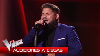 Salvador Rodríguez canta quotNuestros sueñosquot  Audiciones a Ciegas  La Voz Antena 3 2024 [upl. by Heisser]