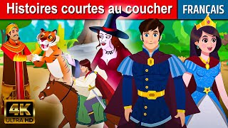 Histoires courtes au coucher  Histoire Pour Sendormir  Contes De Fées  Histoire Pour Dormir [upl. by Ditmore]