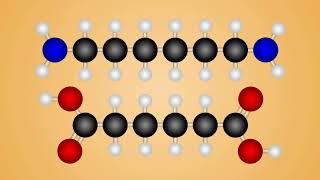 Animation of Polyamide Formation Mechanism [upl. by Gervais]