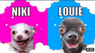 mreviatar niki husbands louis ozeri black dog mreviatarlouie louisozeri [upl. by Calvinna]