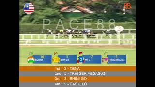 20241109 Race 5 Malaysia Penang Horse Racing Highlights  Pace88 Horse [upl. by Veronika339]