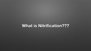 What is Nitrification [upl. by Dlonra690]