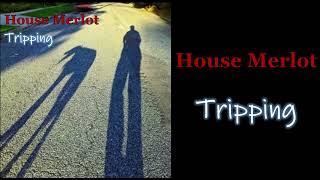 TRIPPING  House Merlot Demo Version [upl. by Odrautse]