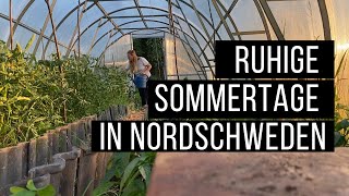 Ruhige Sommertage in Nordschweden  Folge 32 [upl. by Rialc303]