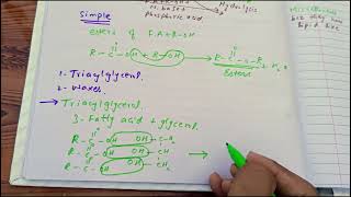 CV B 001 Classification of lipids part 1 made easy CVS module biochemistry lecture 1 [upl. by Nelluc]