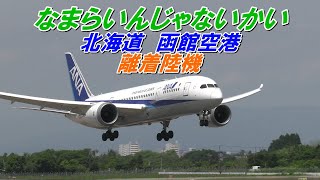 なまらいんじゃないかい 北海道 函館空港 離着陸機 2024612 [upl. by Deloria]