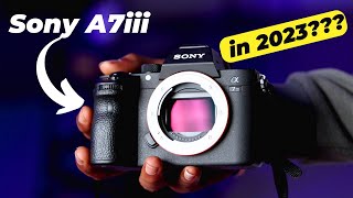 Sony a7 III in 2023 Is It Still Worth Buying A Comprehensive Review and Analysis  Hindi [upl. by Siroved]