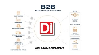 Overview of DiCentral Solutions [upl. by Tirreg]