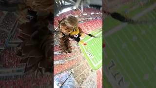 Highest Rope Swing Drop 😳 atlantafalcons [upl. by Justis993]