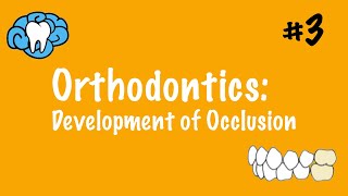 Orthodontics  Development of Occlusion  INBDE ADAT [upl. by Karlee]