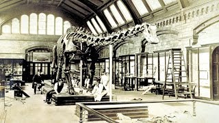 Dippy the Diplodocus begins giant tour on UKs Jurassic coast  ITV News [upl. by Nivrehs]