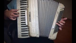 Fascination  Accordion [upl. by Harmonia]